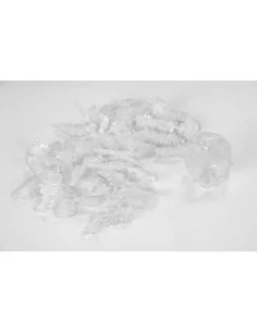 Ear protection  (100 pcs.)