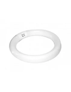 Light bulb for a magnifier...